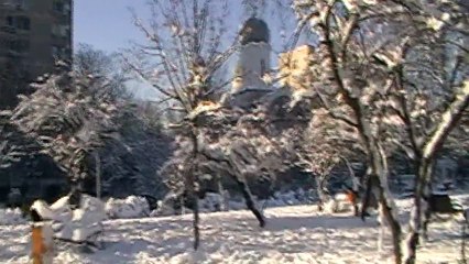 My Collie,Tut cel Dragut prin nameti pe 31 Decembrie 2014