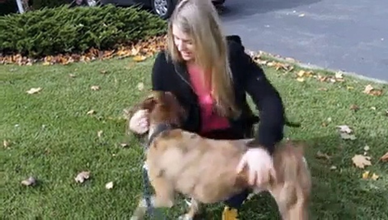 VID-20141226-WA0008.mp4