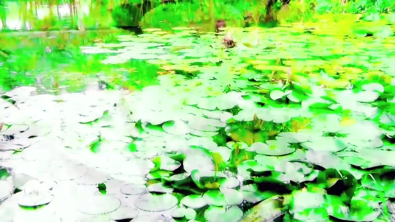 Son Ha - Ca Nhac Si Tre