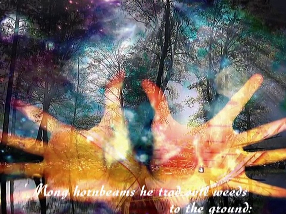 MISTRETUL CU COLTI DE ARGINT - Stefan Augustin DOINAS