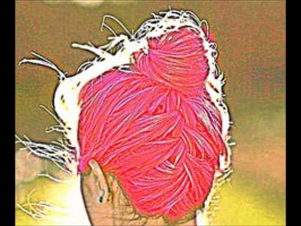 موضي الشمراني 2015 اغنيةالقوس قوسكHDجلسة خاصة