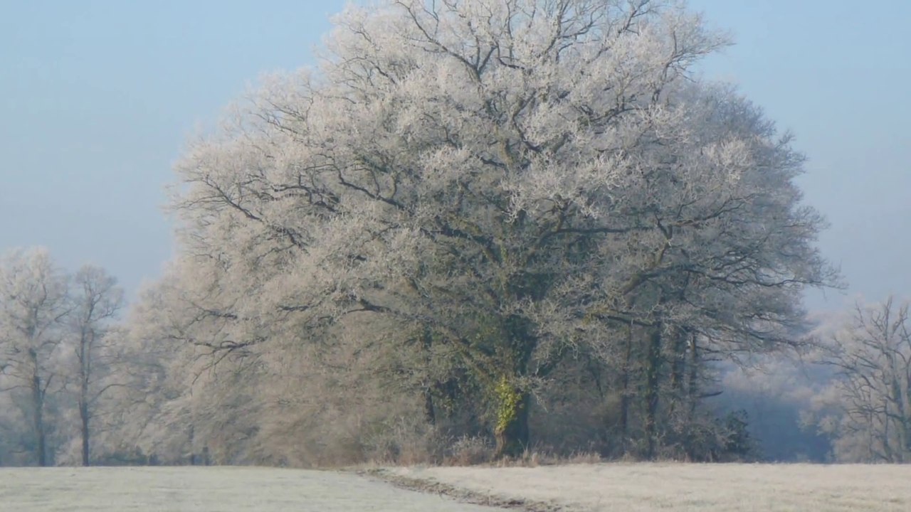 matin givré