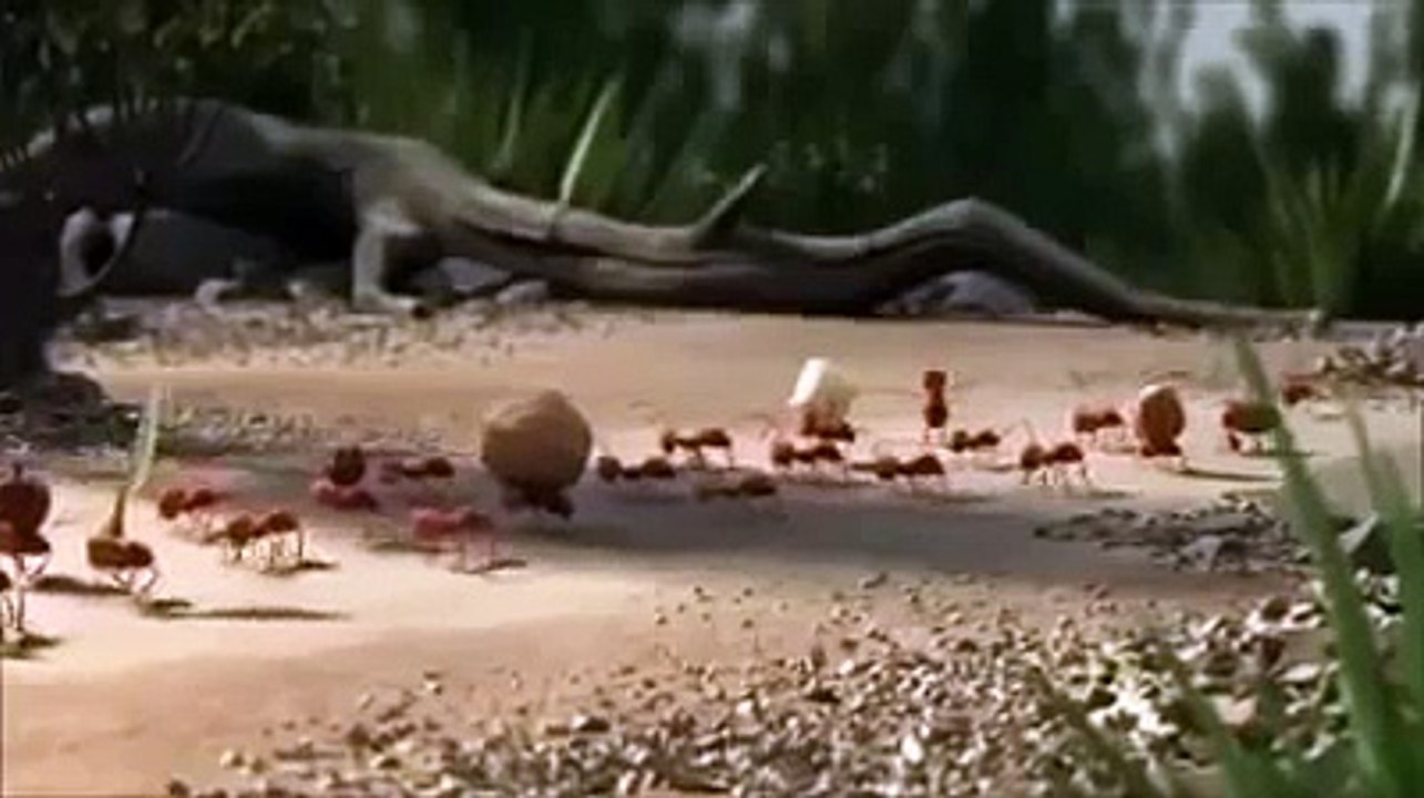 Amazing-Video-about-Unity-Must-Watch