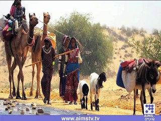 تھر کی صورتحال پر حکومتی بے حسی برقرار۔۔۔۔۔۔۔