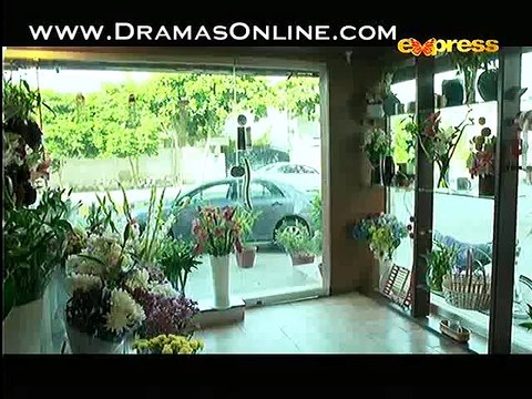 Meri Anaya Episode 16 - 31st December 2014 full episode on Express Ent