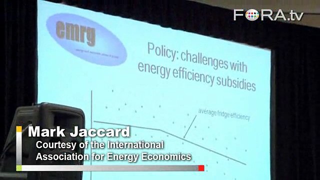The 'Free Rider' Problem with Energy Subsidies