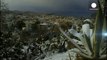 Пальми під снігом: незвичний новорічний мороз на півдні Італії