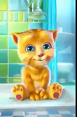 اس بلی کی بھی کوئی سن لے۔