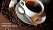 Webmarketing MLM Organo Gold Café Santé au Ganoderma lucidum