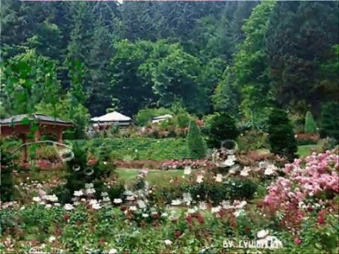 Ersen & Dadaşlar Ihlamurlar Çiçek Açtığında