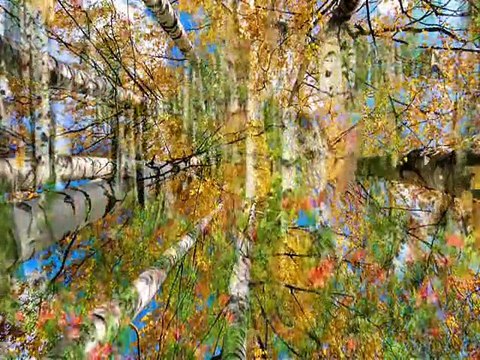 MÜSLÜM GÜRSES-BUNCA GAMI BUNCA DERDİ (VEDA ALBÜMÜ