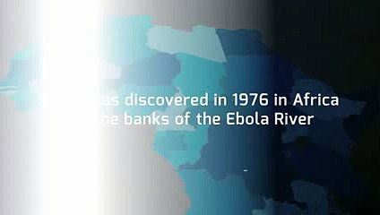 Everything You Need To Know In 94 Seconds