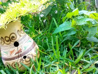 la única cabala que cambiara tu vida