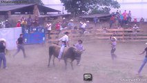 Jaripeo De Rancho Jinetes Montan Toros Salvajes - Caporales Y Charros A Caballo - Cabezales Caidas Sustos Y Quedas Dic 2014