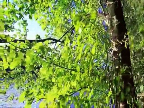 Neşet Ertaş - Yazımı kışa çevirdin