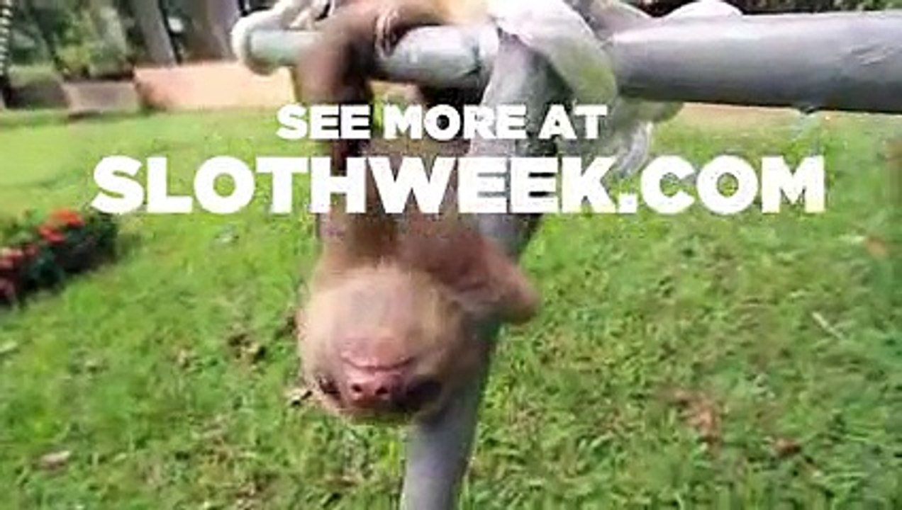 Bubbles Bursting in SLOW MOTION