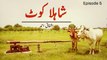 Arifa Siddiqui, Faisal Qureshi, Ahsan Khan, Nabeel - Drama Serial 'Shahla Kot' (Episode 05/13)