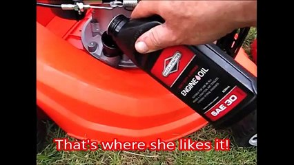 Heavy Metal Review & Testing of Baumr AG 650EX Lawnmower