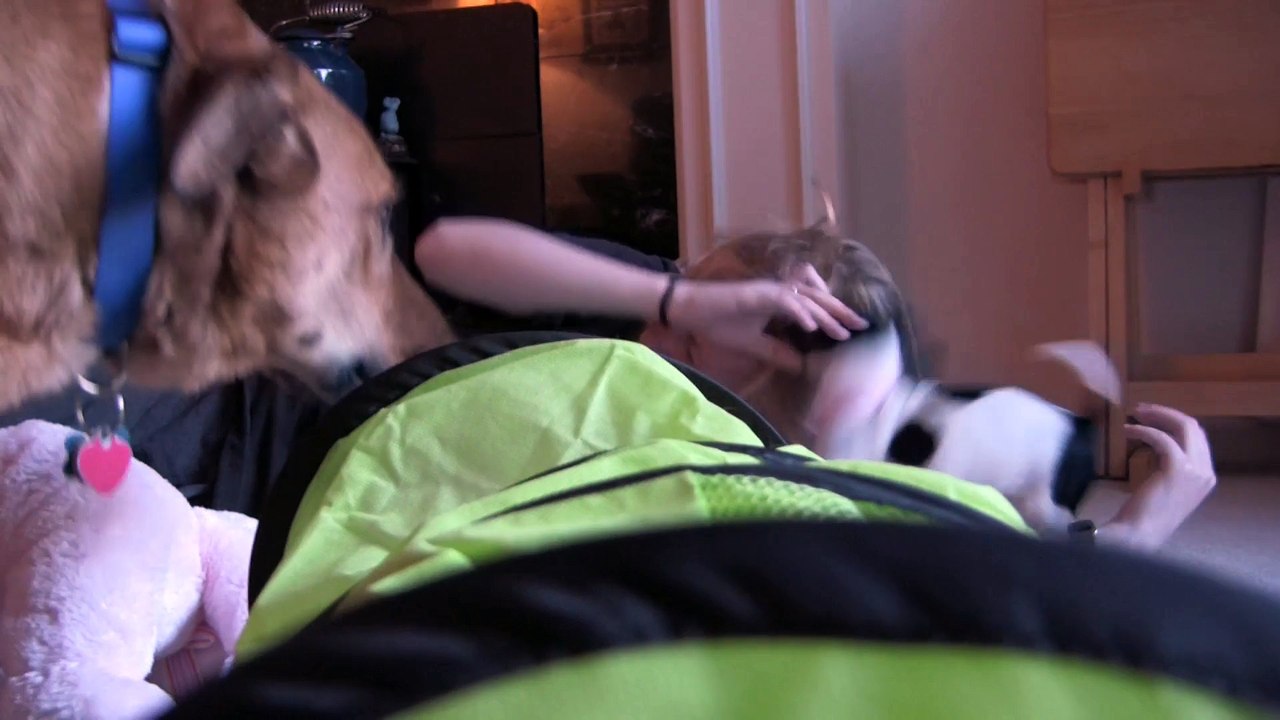 Dot The Puppy!