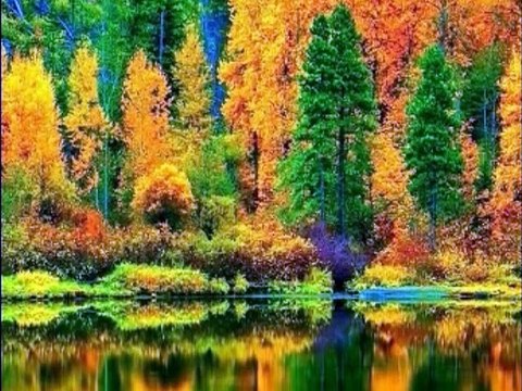 Kazancı Bedih ile Oğlu - Kahtalı Mıçe -Felek Sen Ne Feleksen -