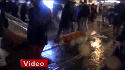 Yeni Yıl Coşkusuna Koyunuyla Katıldı