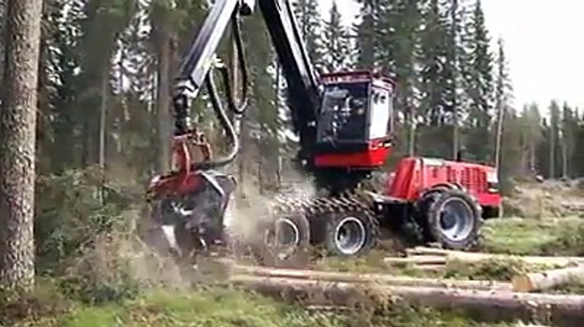 Forest store cutting machine