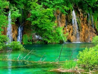 ARZU ŞAHİN l - Oy Daglar