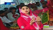 Dhamal Qalandar  By Laila Latifi -Sindh Tv-Sindhi Song