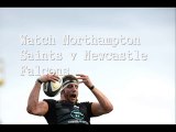 Northampton Saints vs Newcastle Falcons Live Online