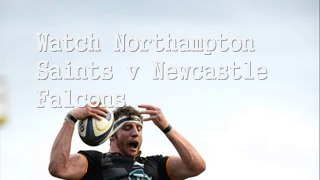 Northampton Saints vs Newcastle Falcons Live Online