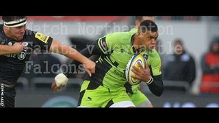 Live Northampton Saints vs Newcastle Falcons Broadcast HAPPY NEW YEAR