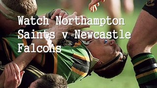 Watch Northampton Saints vs Newcastle Falcons Online Live HAPPY NEW YEAR