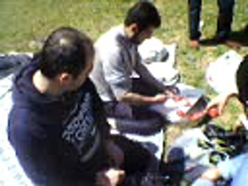 Piknik10