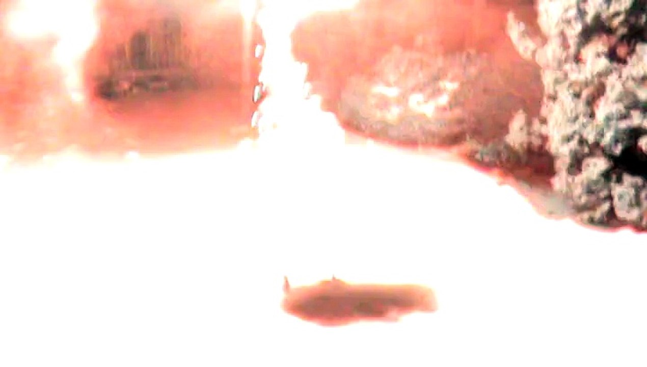 Fireworks at New Year's Day