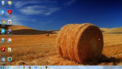 Reset Chrome to its Defaults