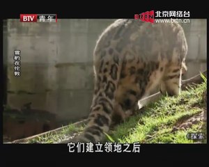 20141231 我爱中国味 2014-12-31