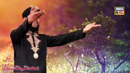 Promo  Baharan Paiyan Paan Muhammad naqi Naqshbandi 2015