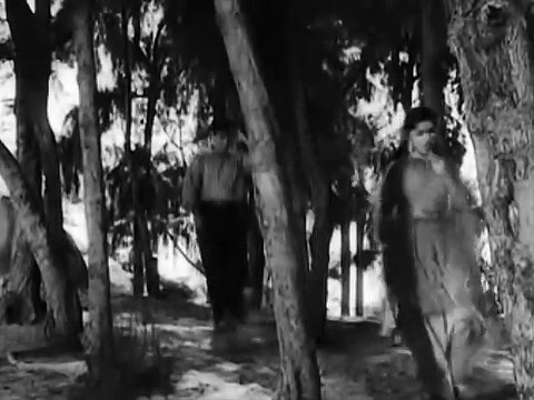 TERI PYARI PYARI SURAT KO KISI KI NAZAR NA LAGE - (Sasural - 1961)