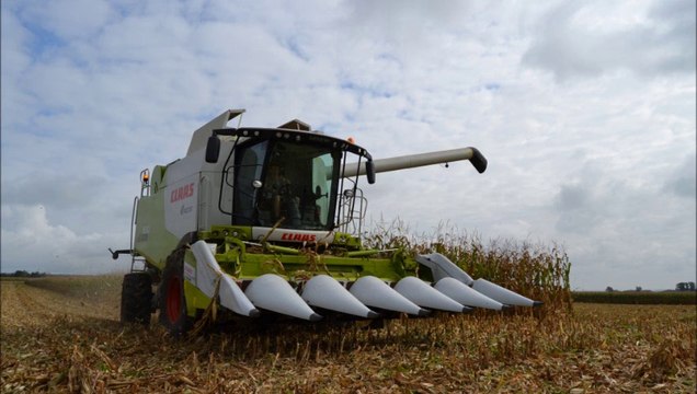 moisson mais avec lexion 630