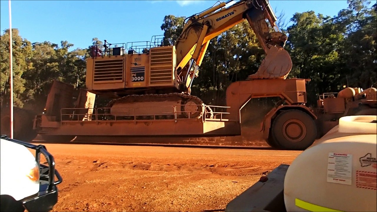 Tree planting & Dwellingup