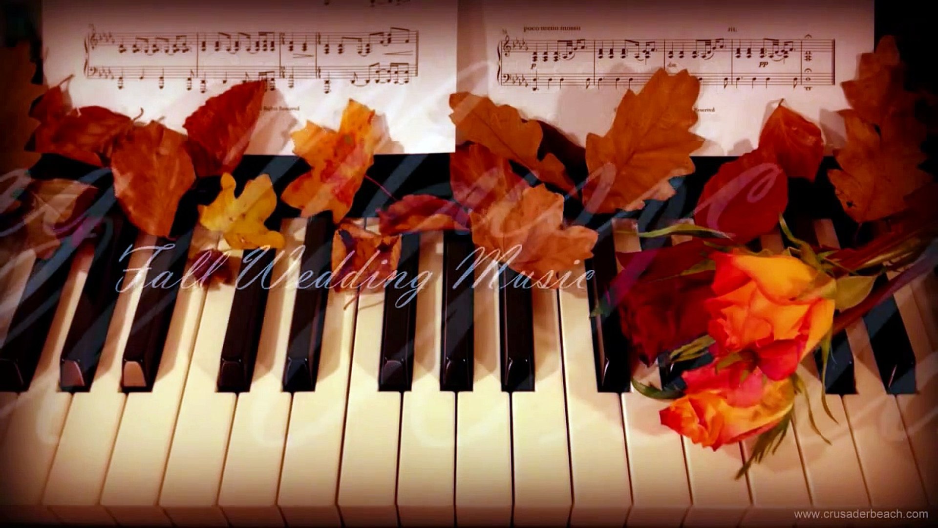 ⁣Top Wedding Songs for Fall Wedding | Piano Music for Wedding Entrance / Dance / Reception
