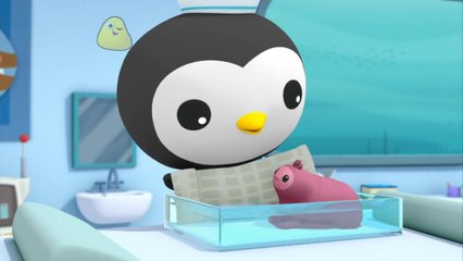 The Octonauts Episode 20 The Snot Sea Cucumber