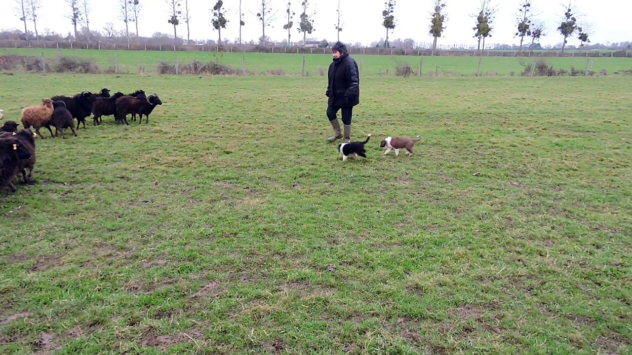 Jude , Joss et compagnie le 31/12