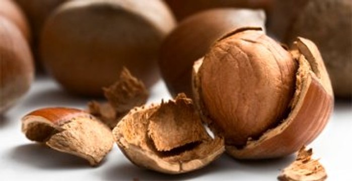 Fındık Cumhuriyet Tarihinin Rekorunu Kırdı