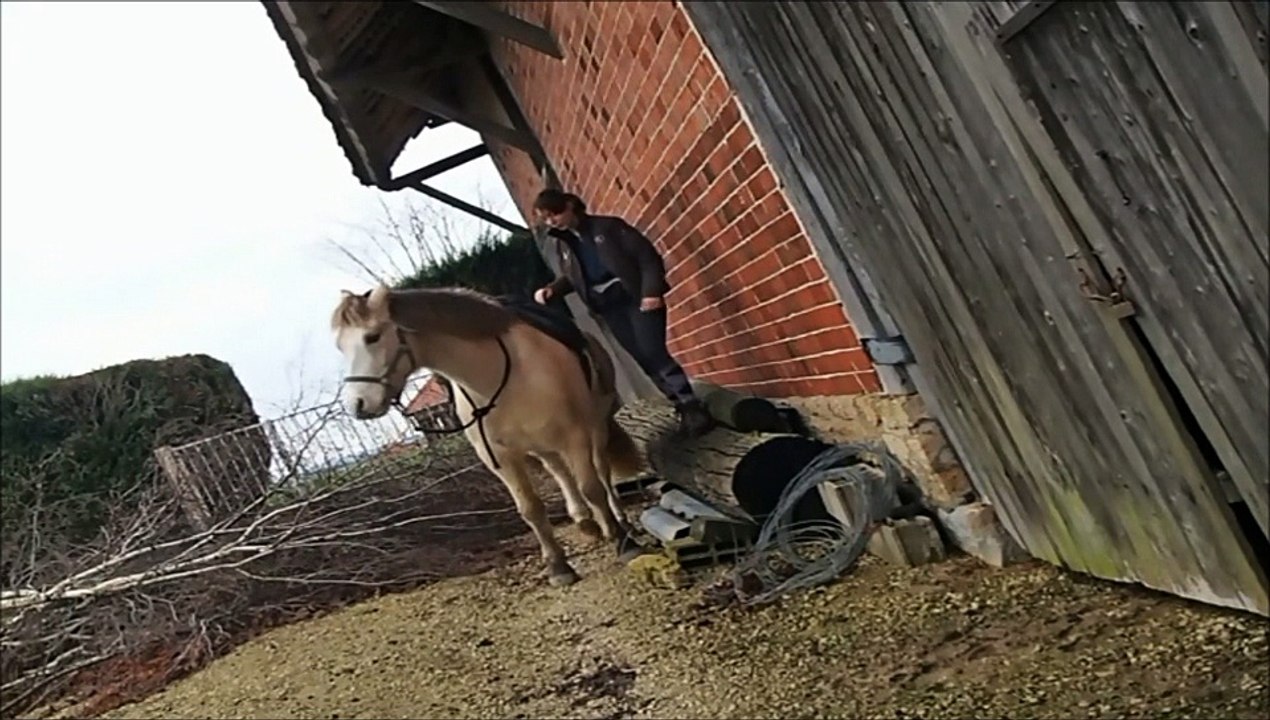 Clicker : Cheval - Selle, montoir, dessellage