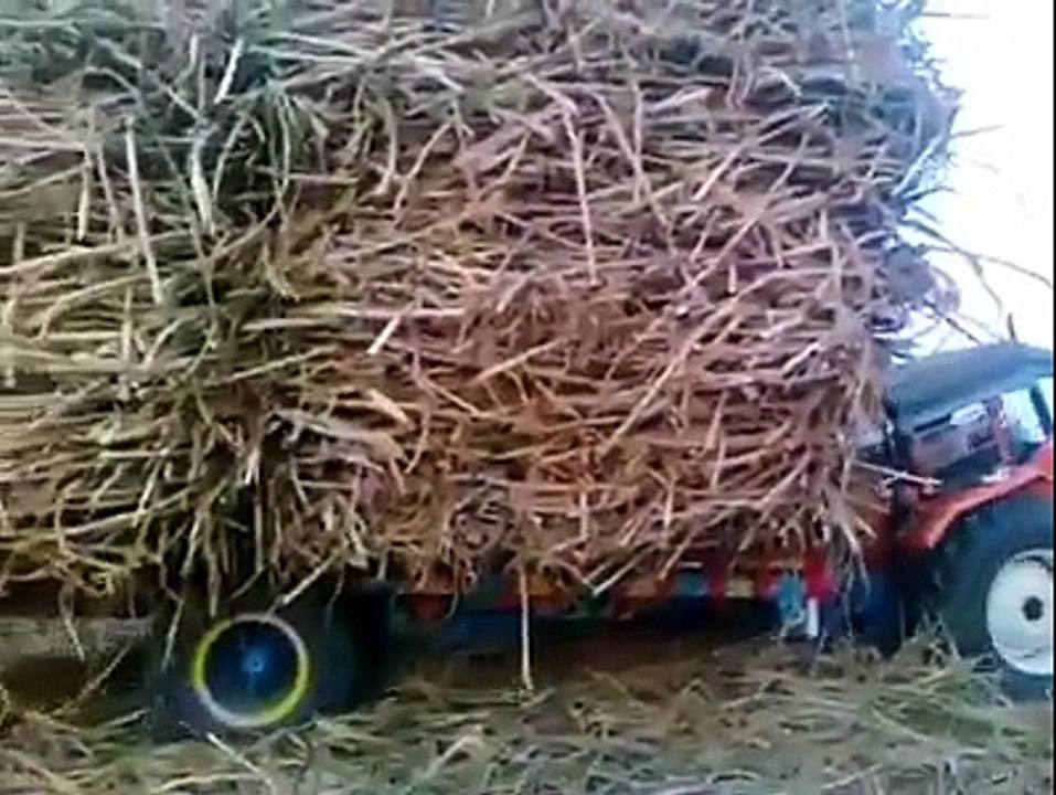 Trator with sugarcane - desi fun
