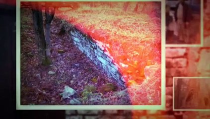 American Ghost Town Hunters