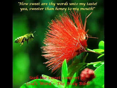 Tera Kalam Zamane Main Ae Khodawanda - Ernest Mall