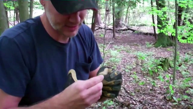 American Ghost Town Hunters: EVERGREEN PARK HUNT