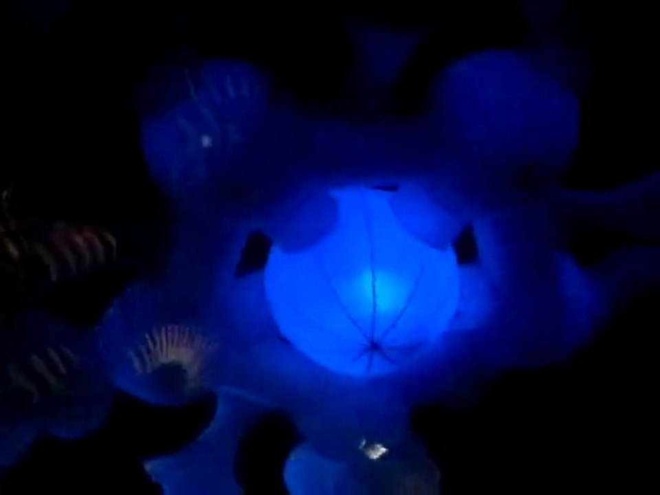 Dj Sub Saharan - Psyberpunk New Year - Rothis Halle Steg - Swiss 2015